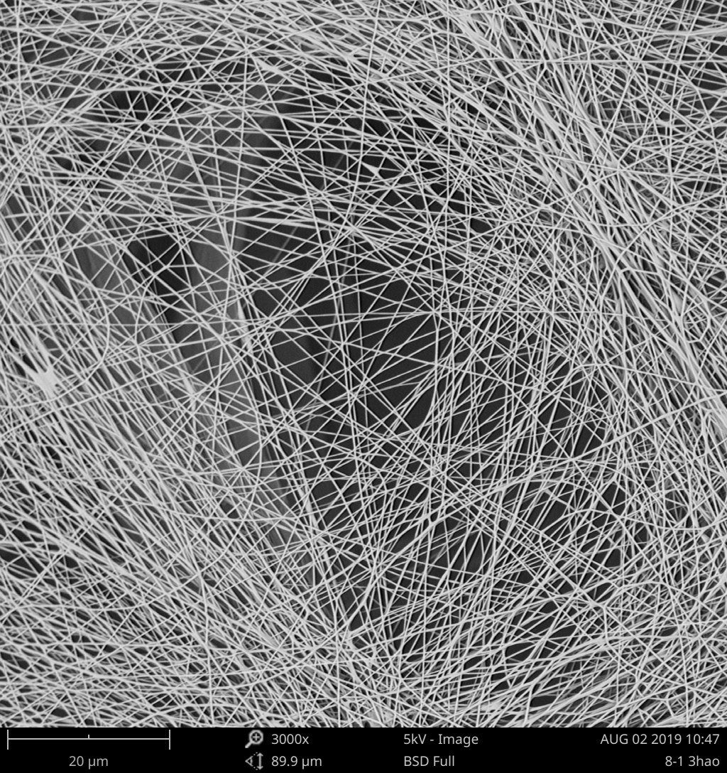Rete di nanofibre osservata al microscopio elettronico a scansione